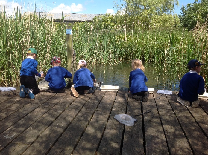 P:\Photos for Evidence\Educational visits\Year 2 Pensthorpe 2024\RP2\IMG_8013.JPG